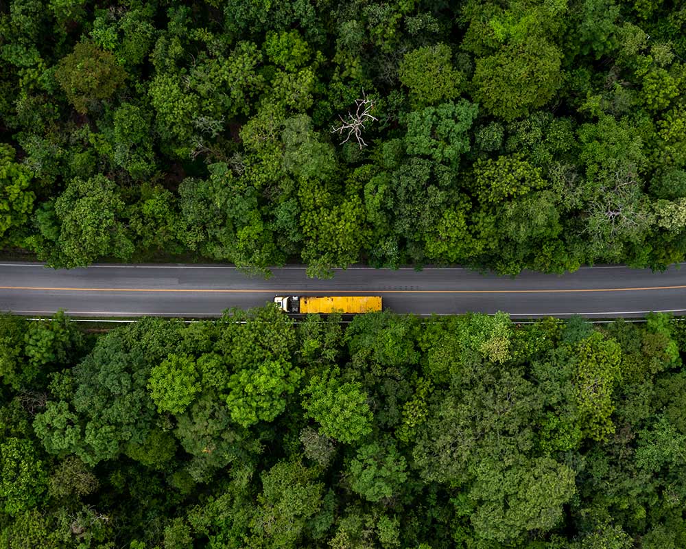camion-carretera-bosque Transporte por carretera